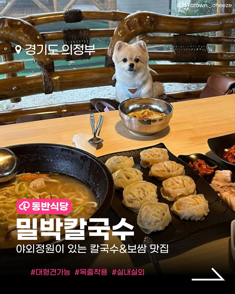 밀박칼국수