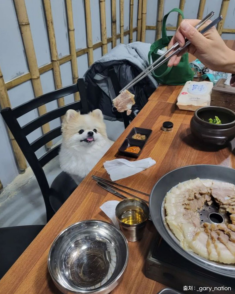 밀박칼국수