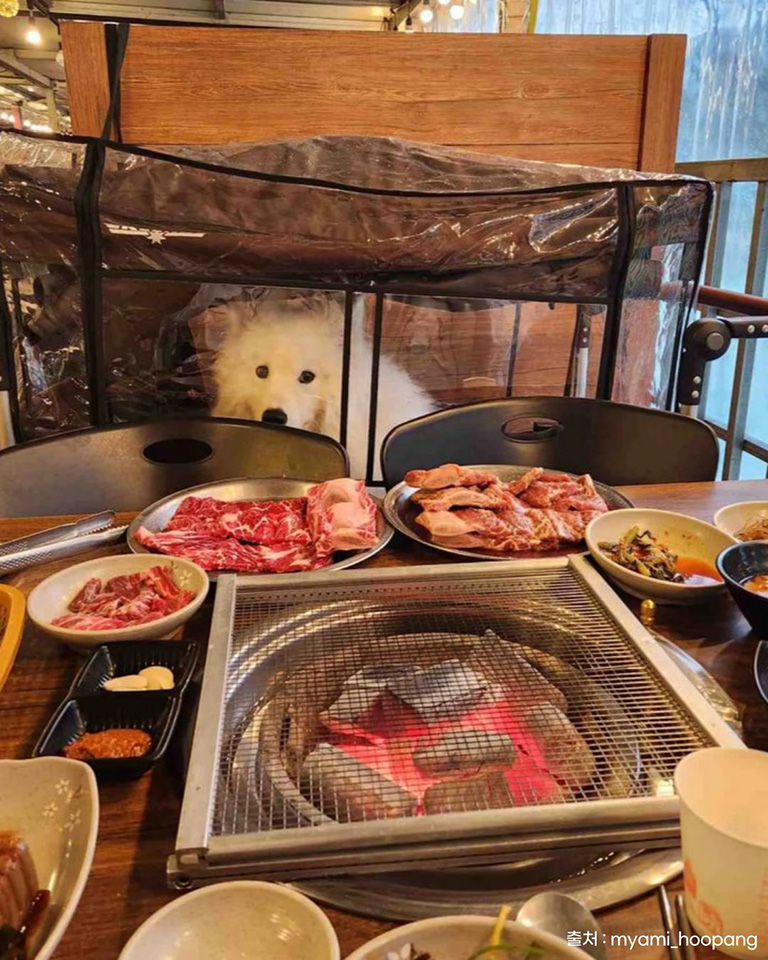 이동강변갈비