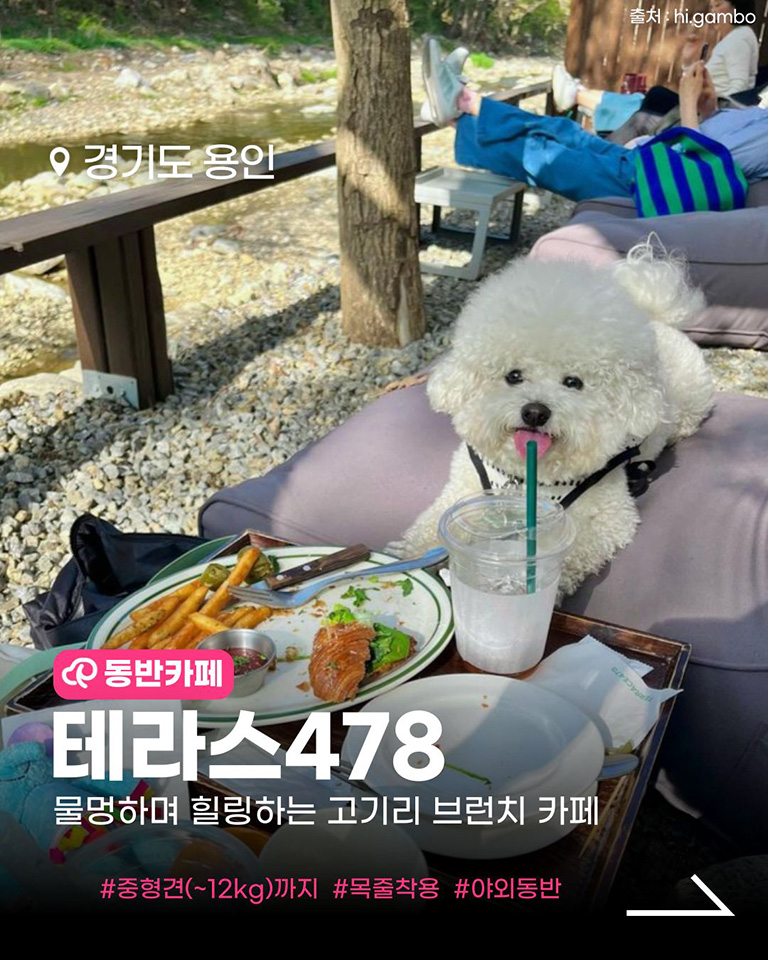 테라스478